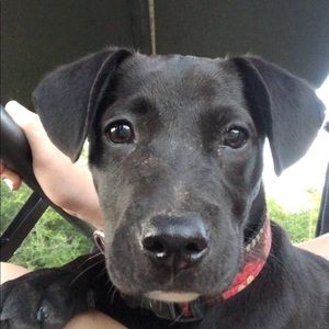 Meet your Posher, Kera